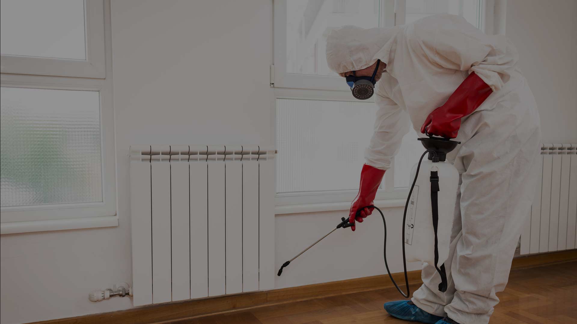 General pest control treatment
